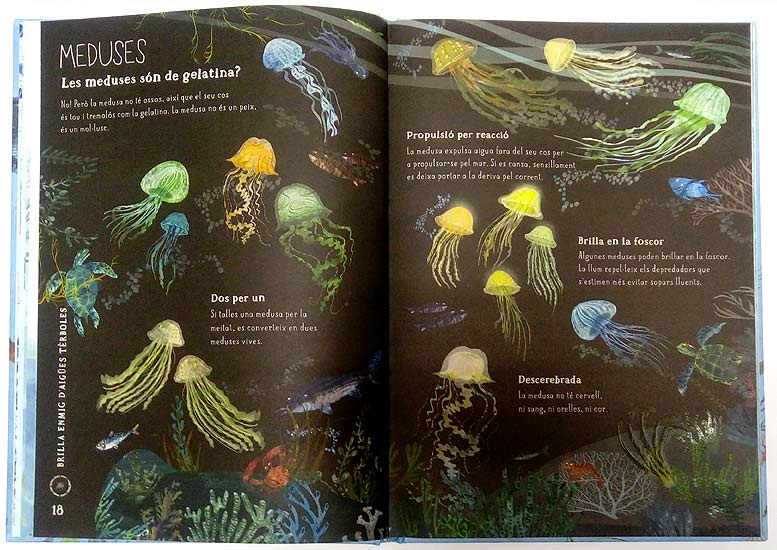 El gran llibre del mar - Pati de Llibres